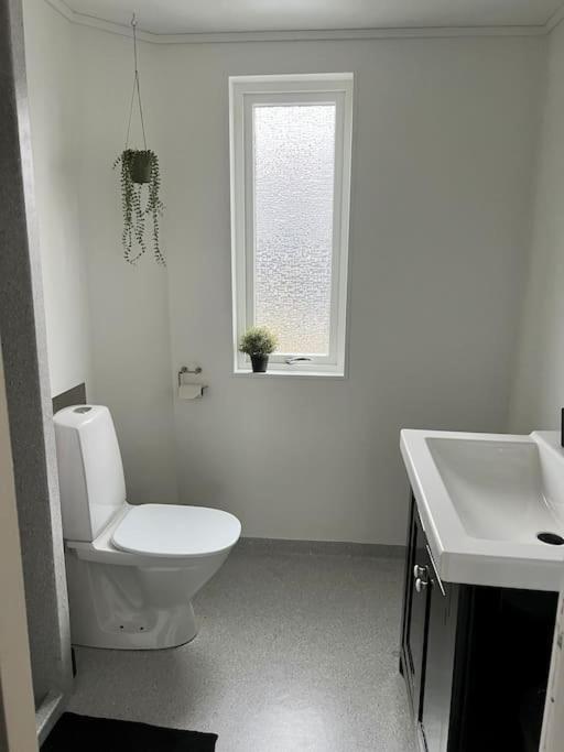 Apartment In The Center Of Torshavn, Free Parking. Exterior foto